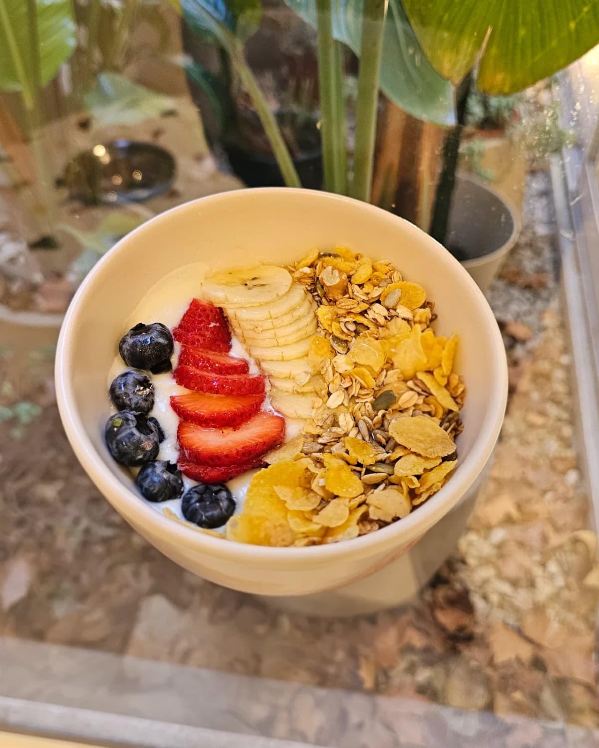 Iogurte natural com frutas e granola (a fruta é ilustrativa)