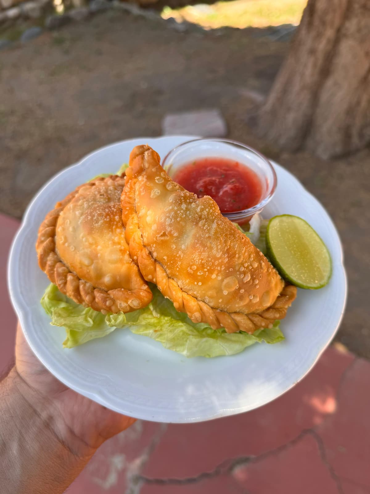 Empanada frita (2 unidades)
