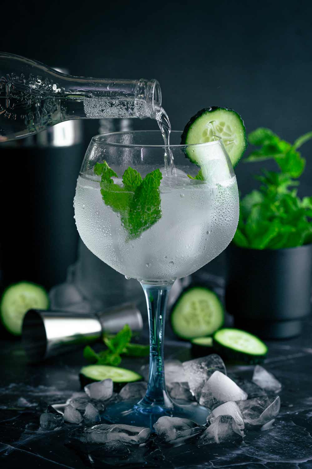 GIN TONIC