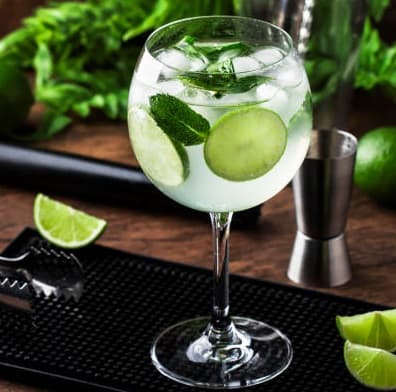 GIN TONIC LIMA